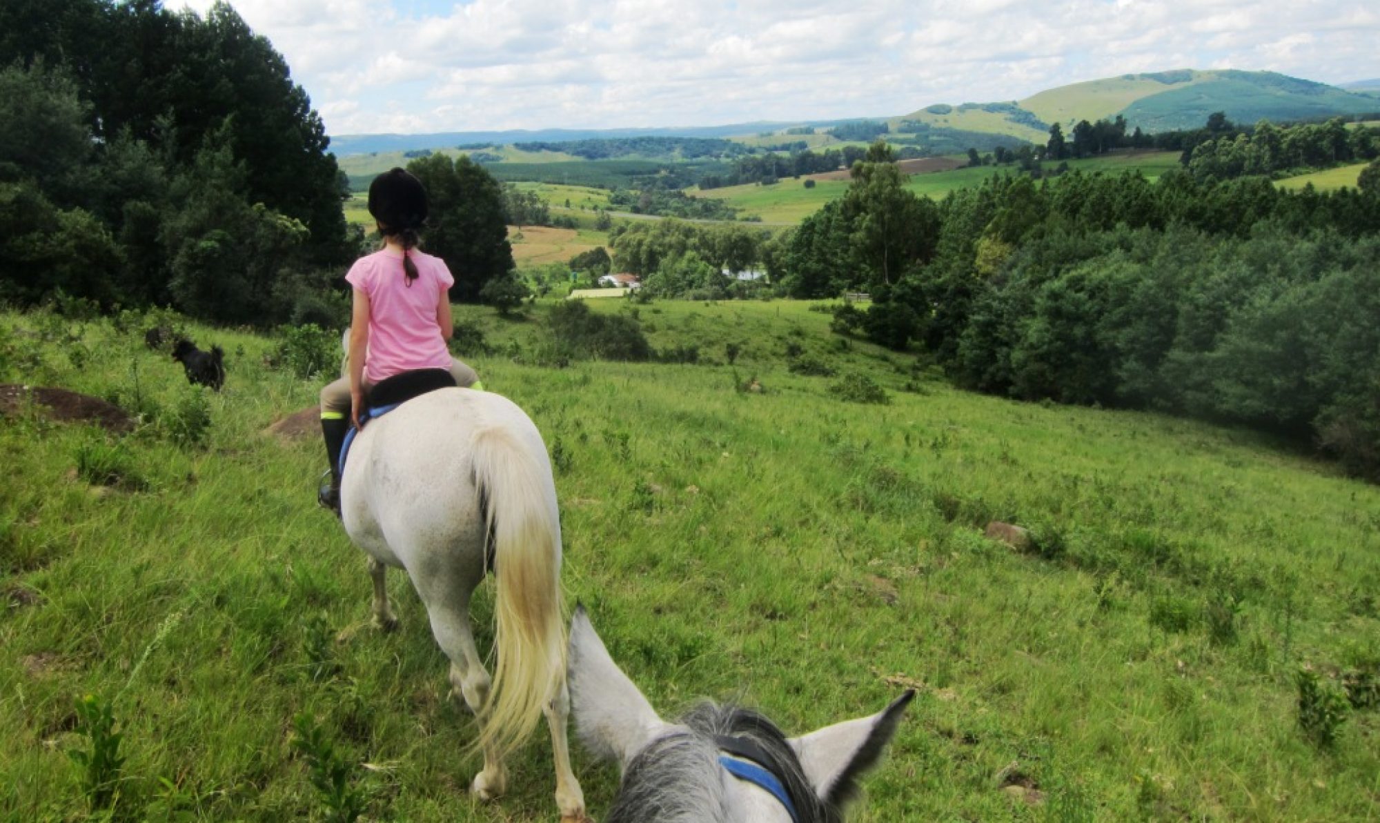 Stormy Hill Horse Trails